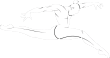 image110_58_белый
